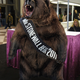 Image for article titled Bear Hunt Winners